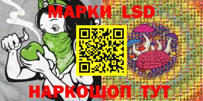 apvp Туймазы