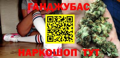 индика Тулун