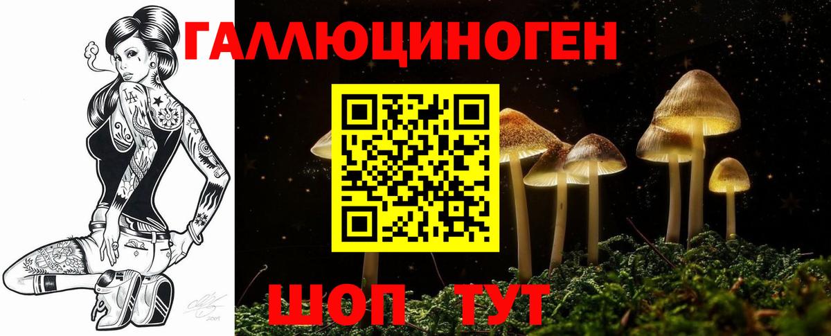 Псилоцибиновые грибы Psilocybe  Вход с VPN  Миасс 